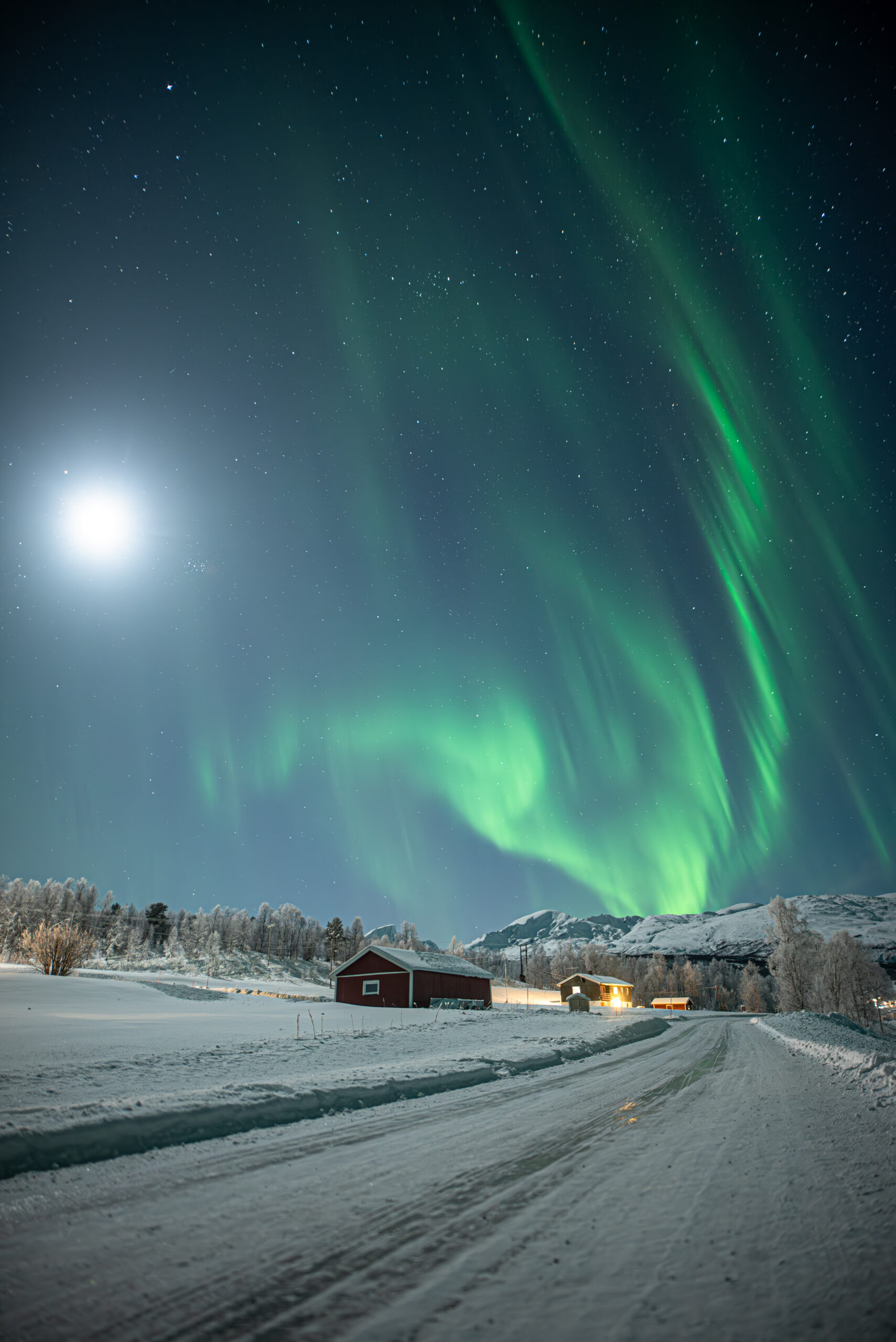 Carollayna 1-7721-Enhanced-NR