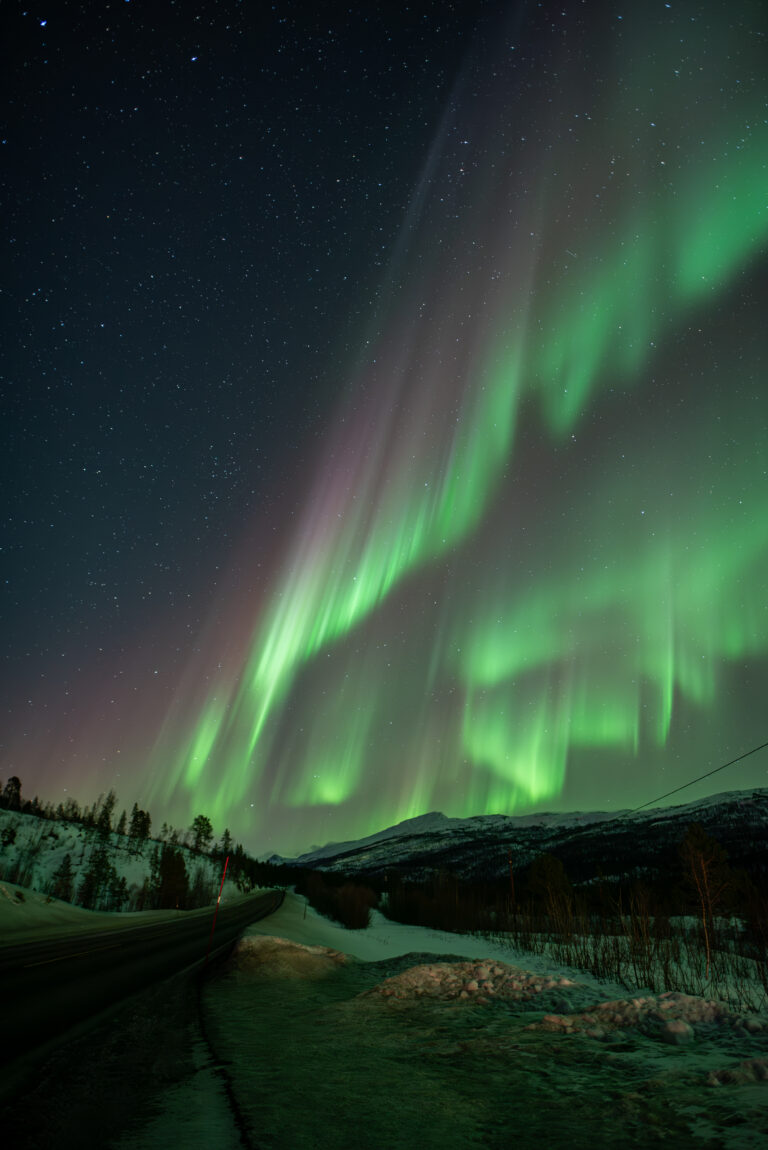 Snowmobiling Through Senja’s Winter Wonderland – Top Routes & Tips