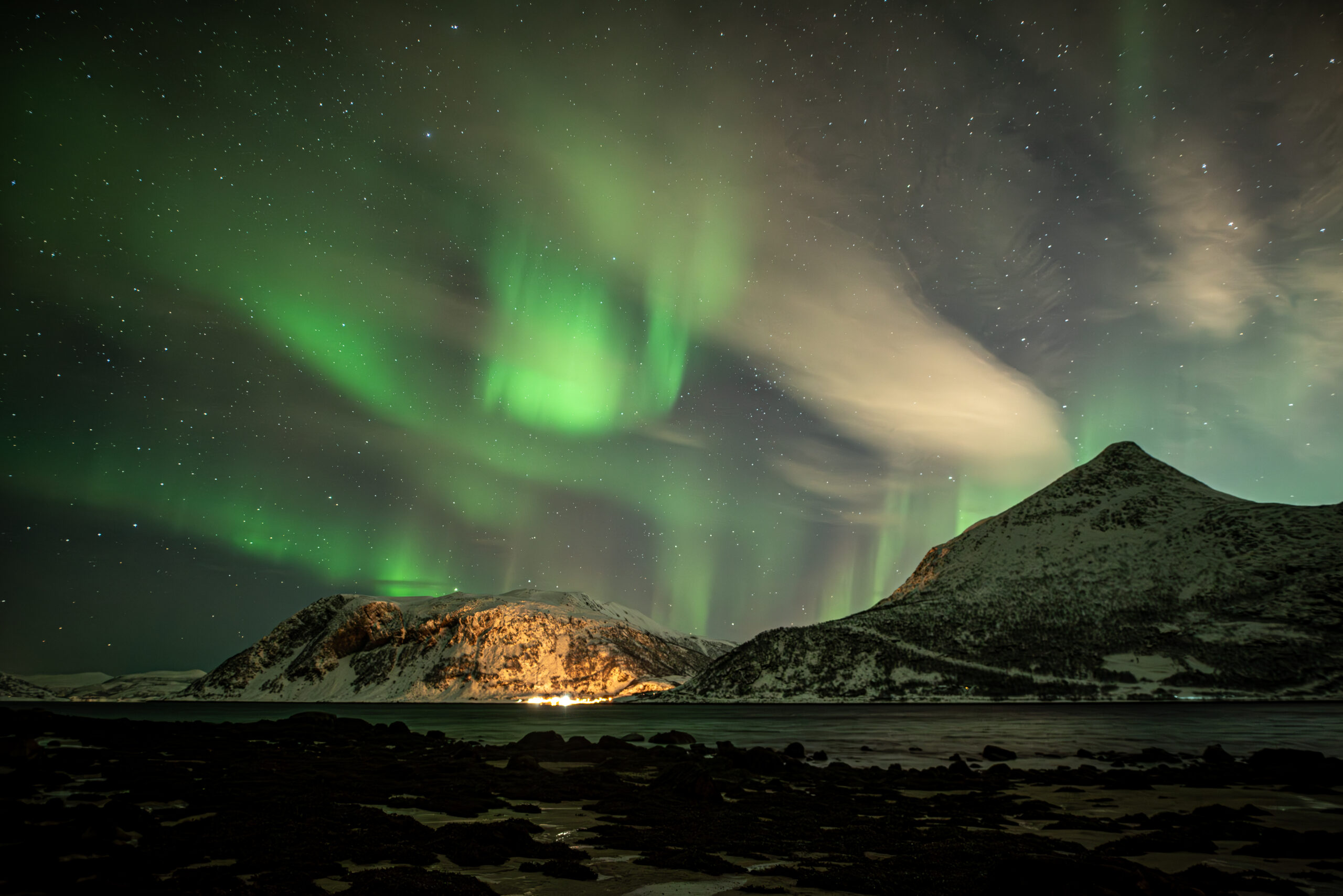 Carollayna-240115-DSC_8691-Enhanced-NR